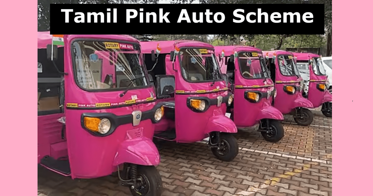 TN Pink Auto Scheme