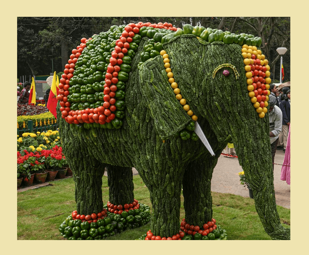 Cubbon Park Flower Show 2025: Entrance Timings