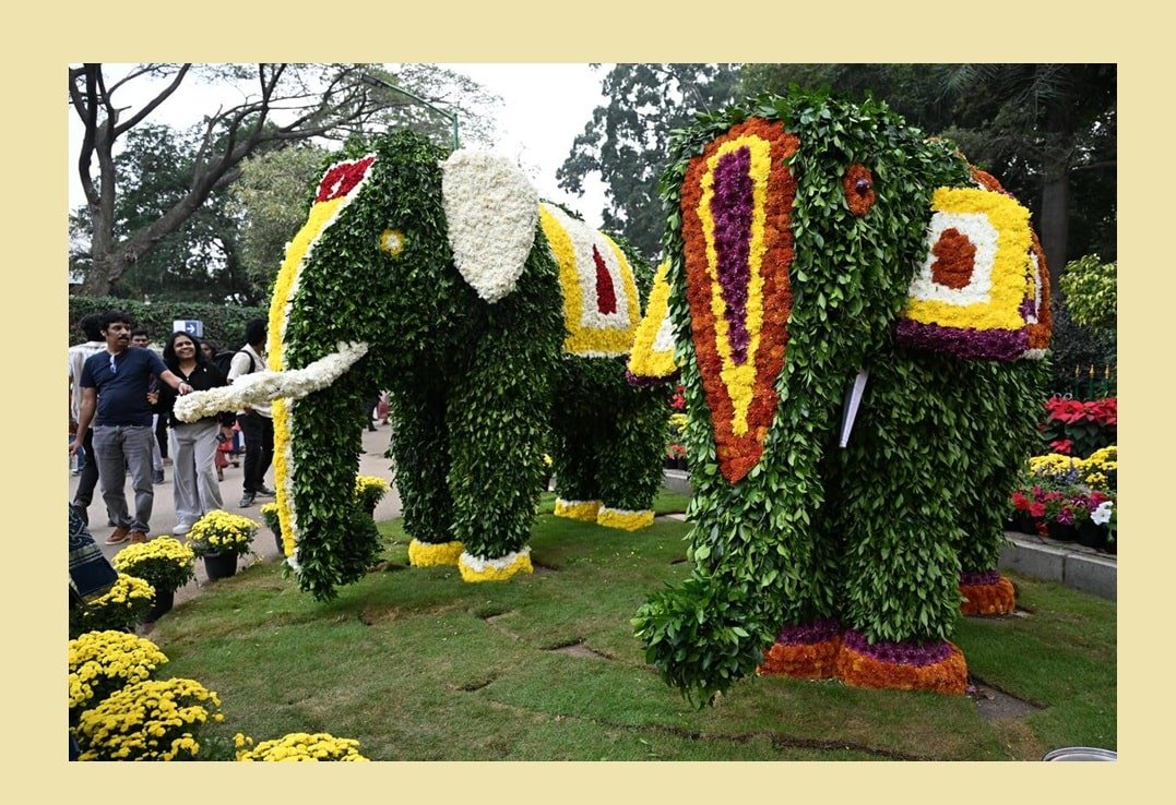 Cubbon Park Flower Show Entrance Timings